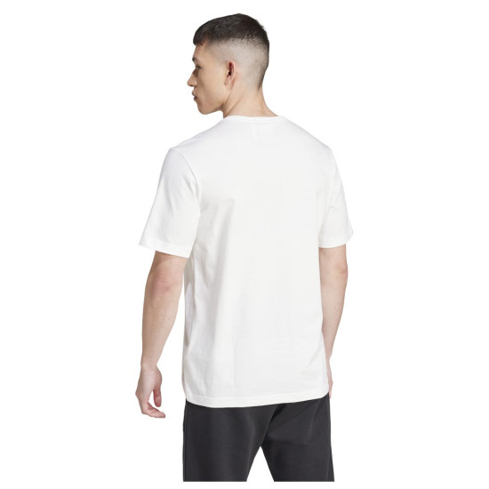 Adidas Ανδρική κοντομάνικη μπλούζα Graphic Tee